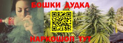 прущие грибы Балашиха
