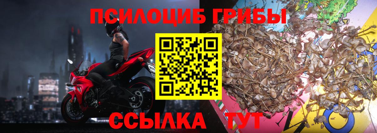 Гуково  Псилоцибиновые грибы GOLDEN TEACHER  Галлюциногенные грибы ЛСД  где можно купить   Вход с VPN 